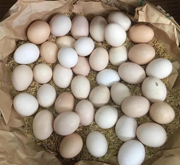 Thành phần dinh dưỡng có trong trứng gà so