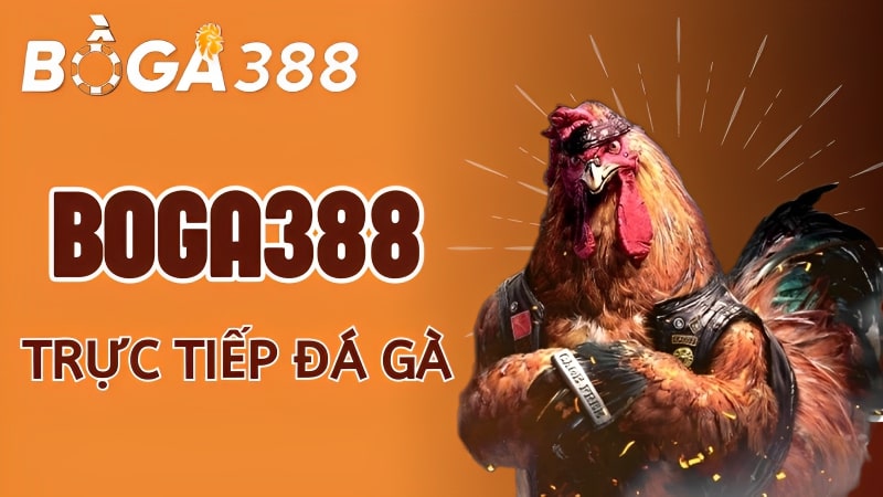 Boga388 - Địa chỉ cá cược đá gà trực tiếp số 1 thị trường